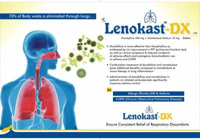 Lenokast-DX